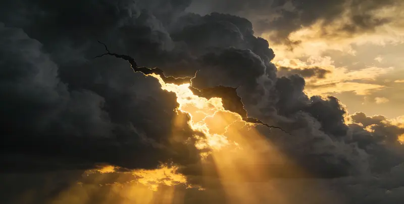 上海肺癌靶向39基因检测及PDL122C3表达检测套餐（组织）图片1